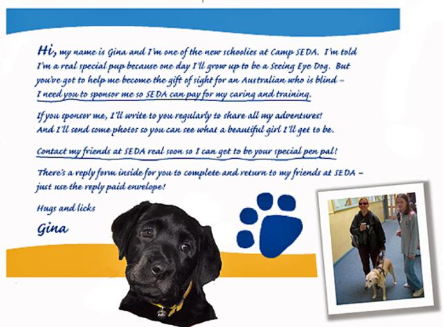 ad with puppy