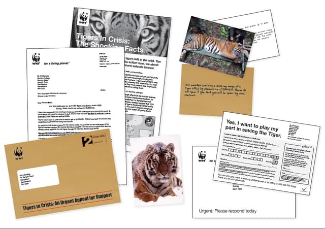 This is the appeal that was sent to all WWF core donors. This was the most successful appeal in the organisations history.