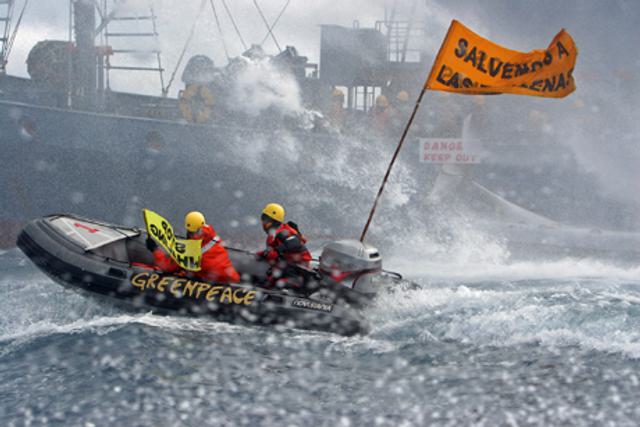 greenpeace speedboat