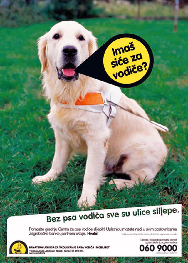 guide dog ad
